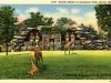 Postcard - D-50 Giraffe Exhibit at Zoological Park, Detroit, Mich.