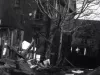 Negative, Roll Film