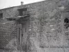 Negative, Roll Film