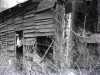 Negative, Roll Film