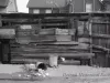 Negative, Roll Film