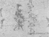 Film, Motion Picture - The Detroit Lions 1954 Football Highlights