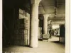 Stereoview