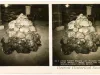 Stereoview
