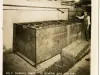 Stereoview