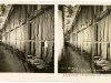 Stereoview