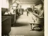 Stereoview