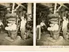Stereoview