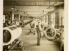 Stereoview