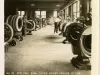 Stereoview