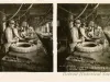 Stereoview
