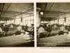 Stereoview