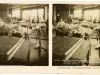 Stereoview
