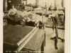 Stereoview