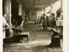 Stereoview