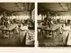 Stereoview