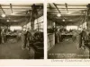 Stereoview