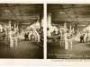 Stereoview