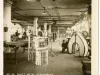 Stereoview
