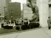 Negative, Roll Film