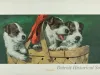 Sign, Advertising - Three Puppies in a Basket