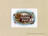 Drawing - Havana Fruit