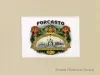 Drawing - Forcasto