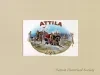Drawing - Attila